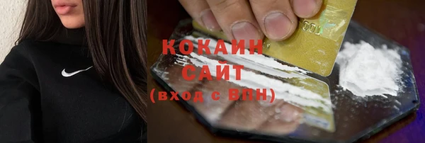 гидра Болотное