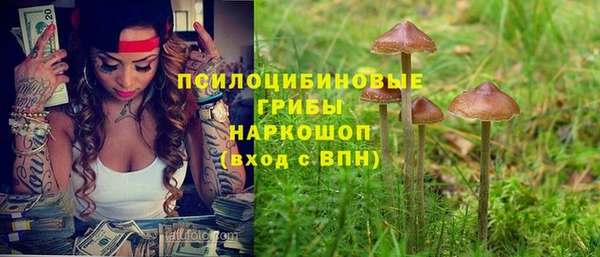 гидра Болотное