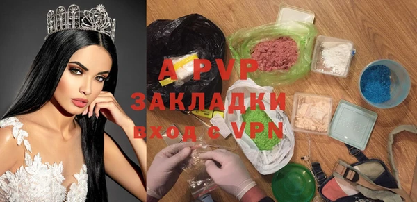 гидра Болотное