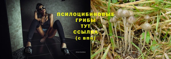 шишки Болохово