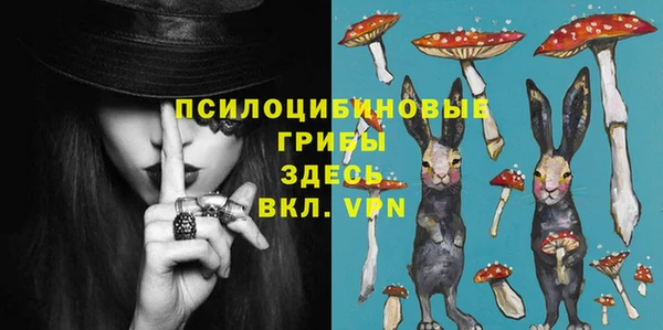 шишки Болохово