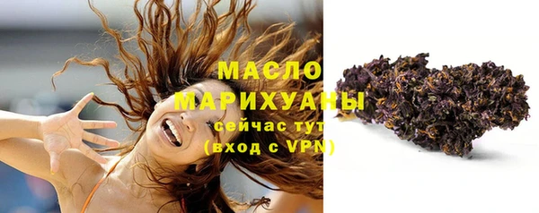 гидра Болотное
