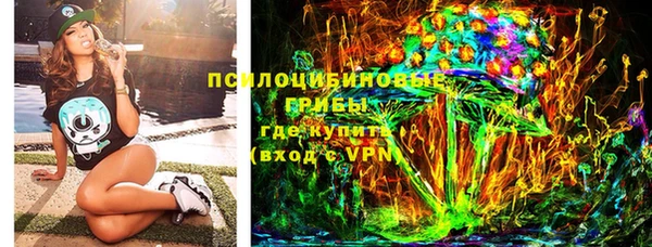 гидра Болотное