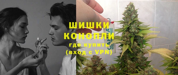 гидра Болотное