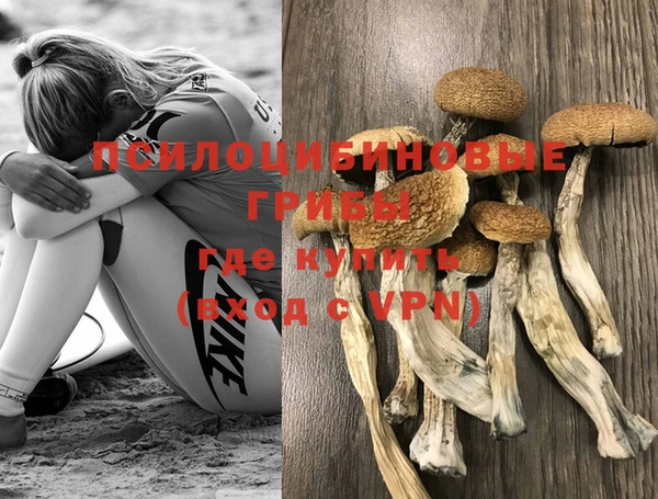 твердый Пестово