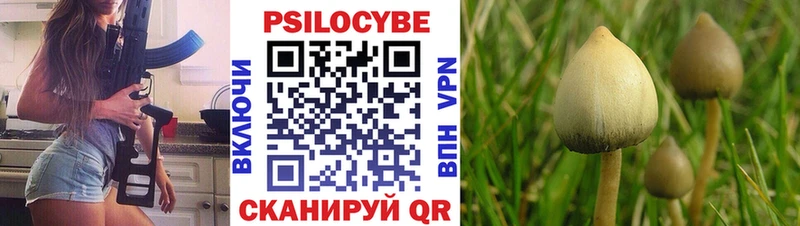 Галлюциногенные грибы ЛСД Дмитриев
